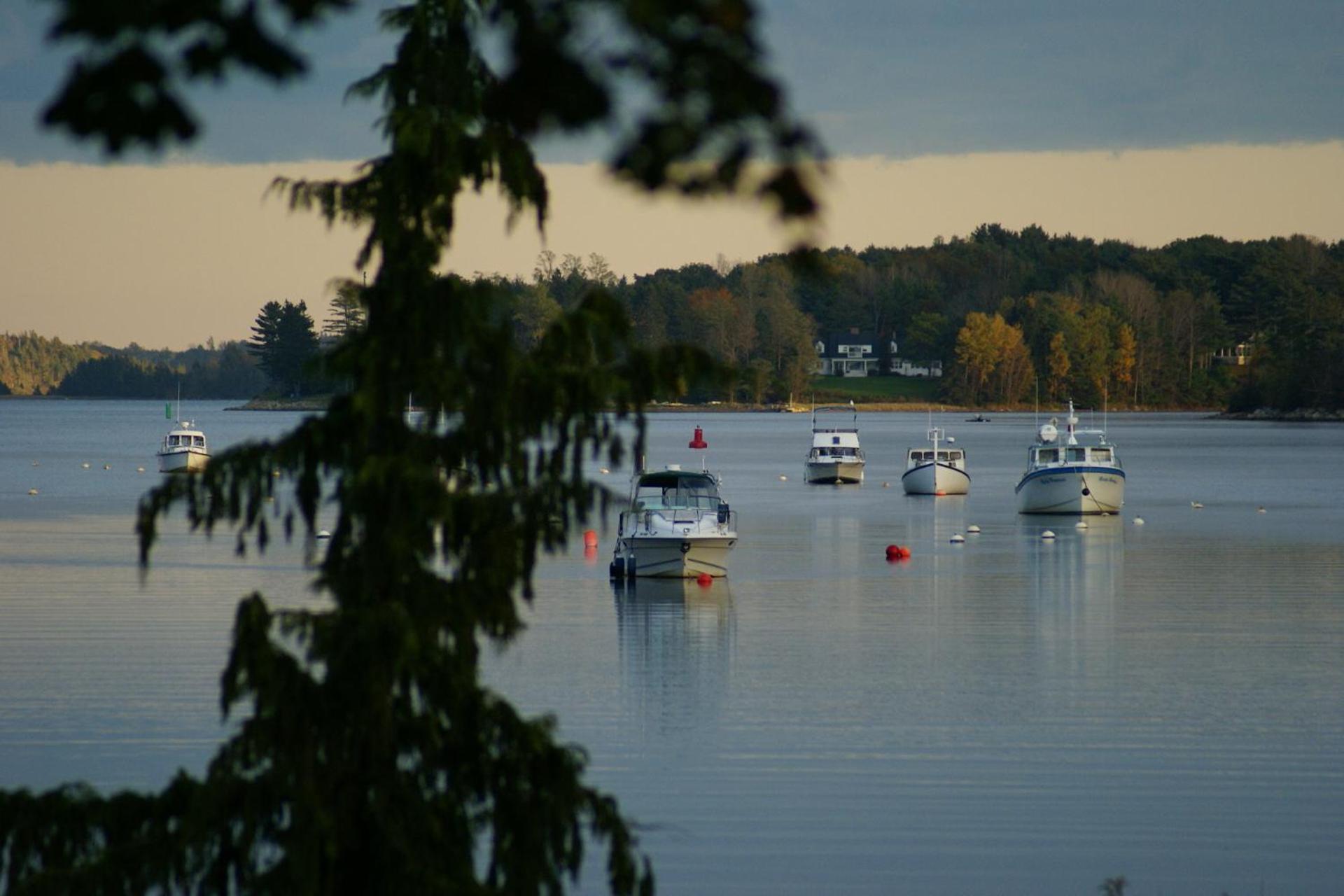 Fisherman'S Daughter B&B Mahone Bay Exteriör bild